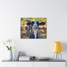 Load image into Gallery viewer, Romeldale Lamb Canvas Gallery Wraps