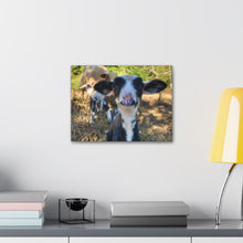 Load image into Gallery viewer, Romeldale Lamb Canvas Gallery Wraps
