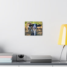 Load image into Gallery viewer, Romeldale Lamb Canvas Gallery Wraps