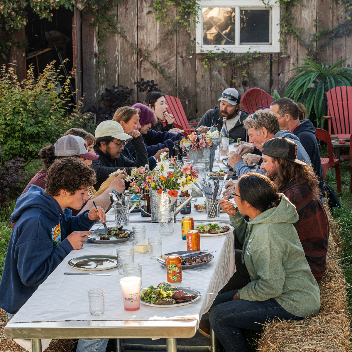 Full Barnyard Experience Foggy Bottoms Boys