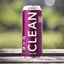 Load image into Gallery viewer, Clean Sparkling Yerba Mate - 16oz