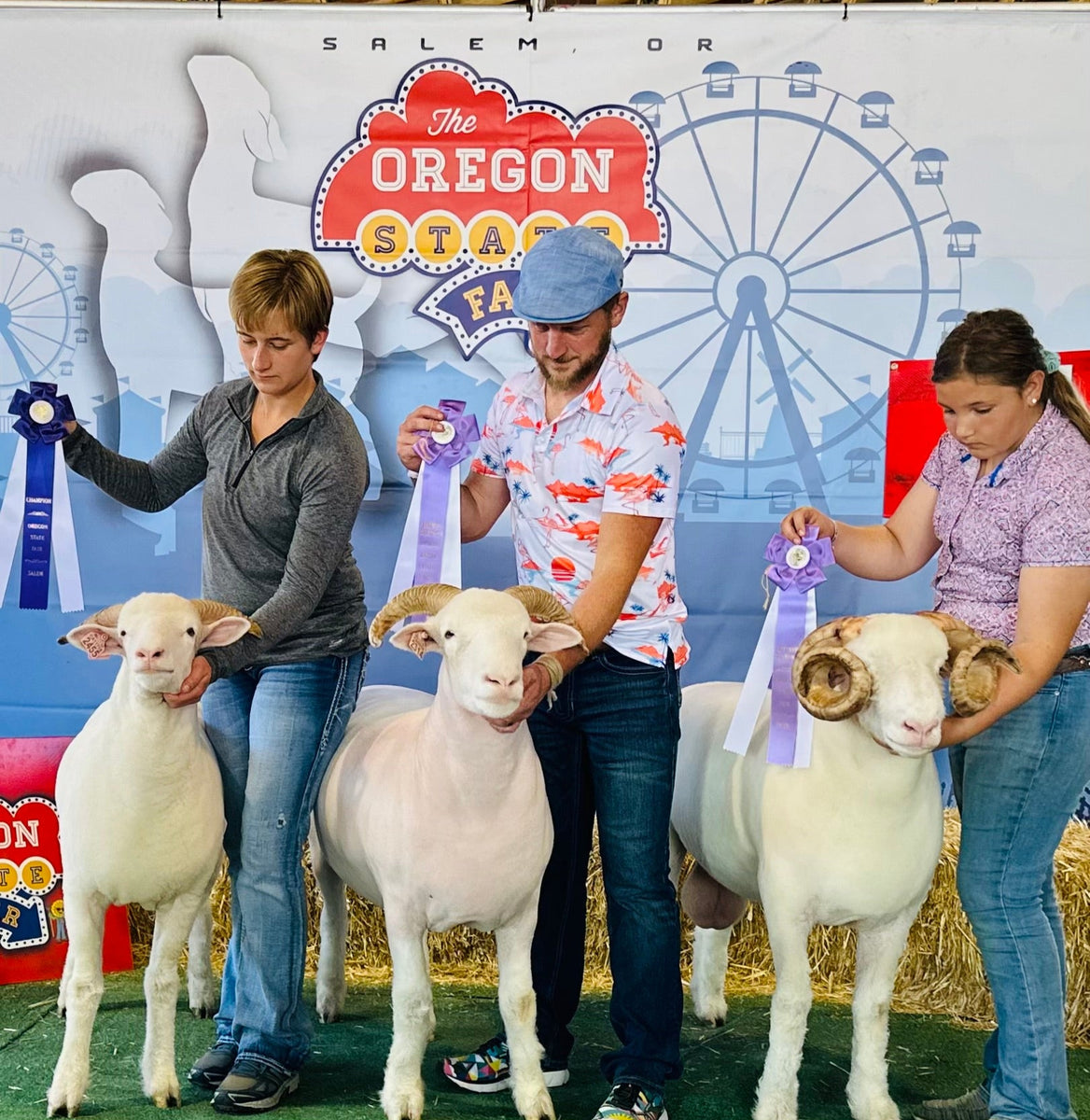 Three people holding Dorset sheep on a stage with an Oregon State Fair backdrop