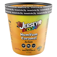 Load image into Gallery viewer, Jersey Scoop Ice Cream Pints - Local Delivery