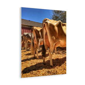 Showtime Canvas Gallery Wraps
