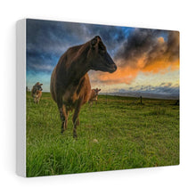 Load image into Gallery viewer, Jersey Sunrise Canvas Gallery Wraps