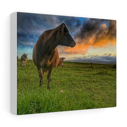 Jersey Sunrise Canvas Gallery Wraps