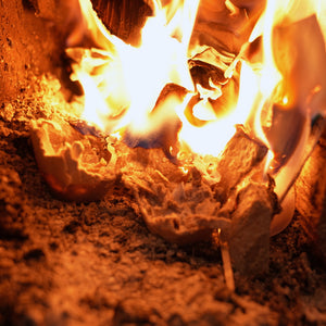 Recycled Egg Carton Fire Starters