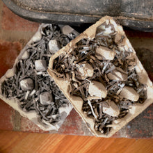 Load image into Gallery viewer, Recycled Egg Carton Fire Starters