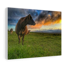 Load image into Gallery viewer, Jersey Sunrise Canvas Gallery Wraps