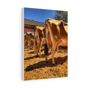 Showtime Canvas Gallery Wraps