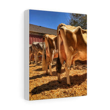 Load image into Gallery viewer, Showtime Canvas Gallery Wraps
