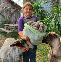 Load image into Gallery viewer, Bummer Lamb Shepherdess Yarn